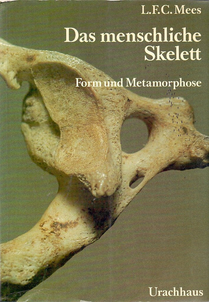 Das menschliche Skelett. Form und Metamorphose Philosophy Books