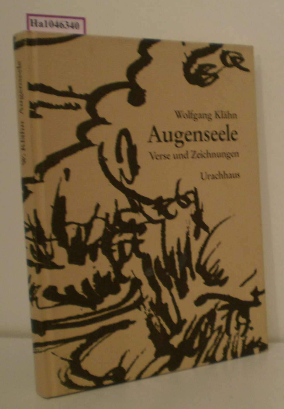 Augenseele. Verse und Zeichnungen Books