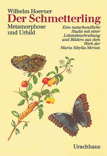 Der Schmetterling Leisure, Home & Garden