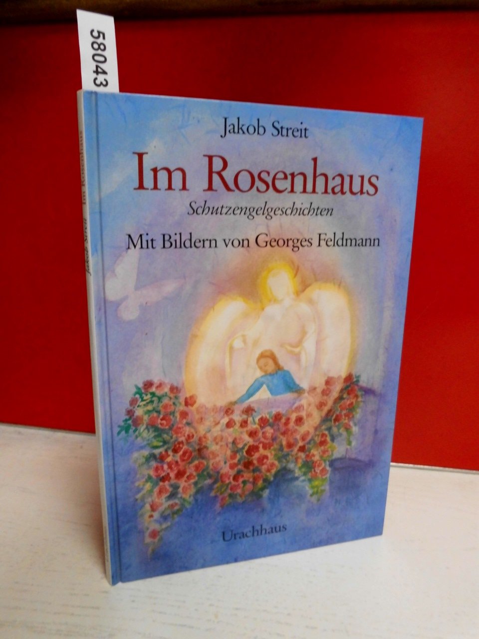 Im Rosenhaus: Schutzengelgeschichten Novels & Short Stories