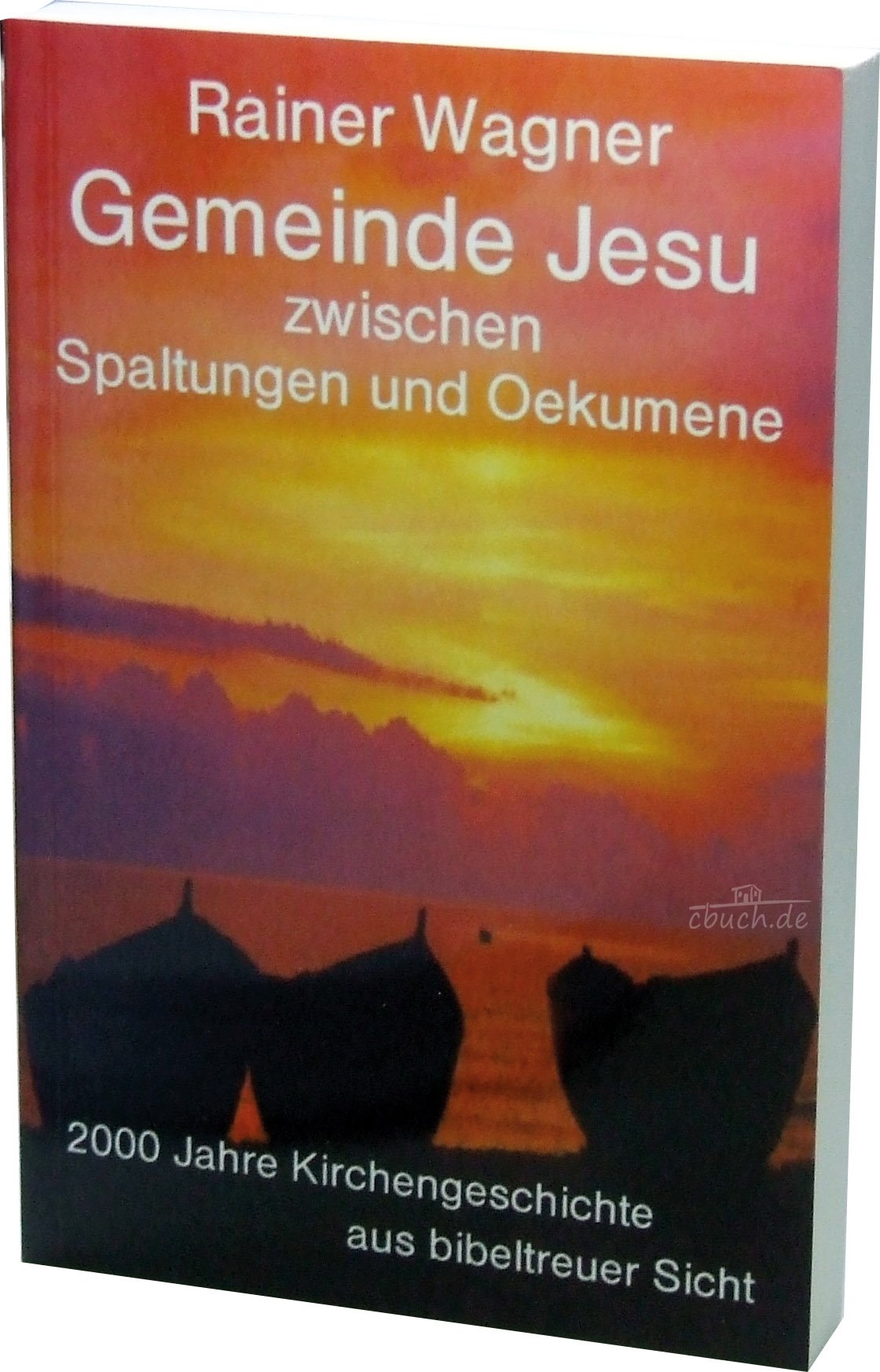 Gemeinde Jesu zwischen Spaltungen und Oekumene: 2000 Jahre Kirchengeschichte aus bibeltreuer Sicht Books