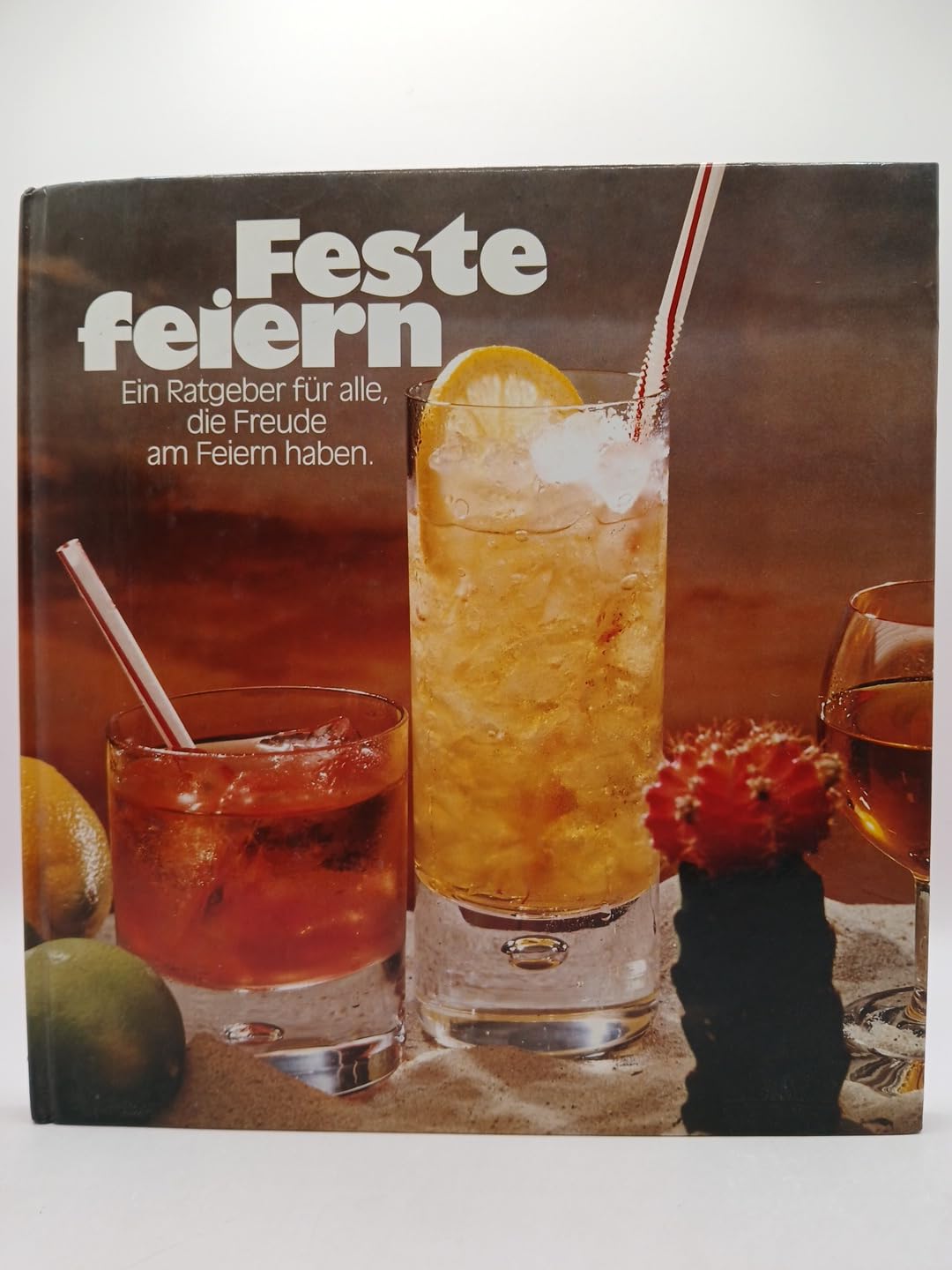 Feste feiern. Ein Ratgeber für alle, die Freude am Feiern haben Books