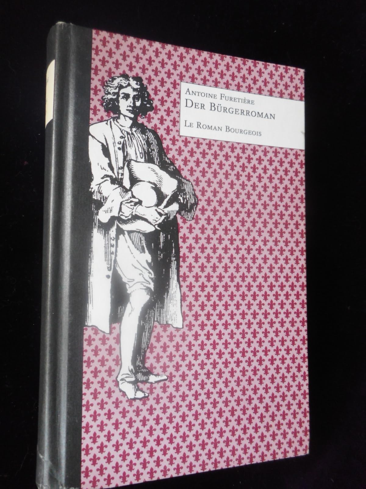 Der Bürgerroman Books