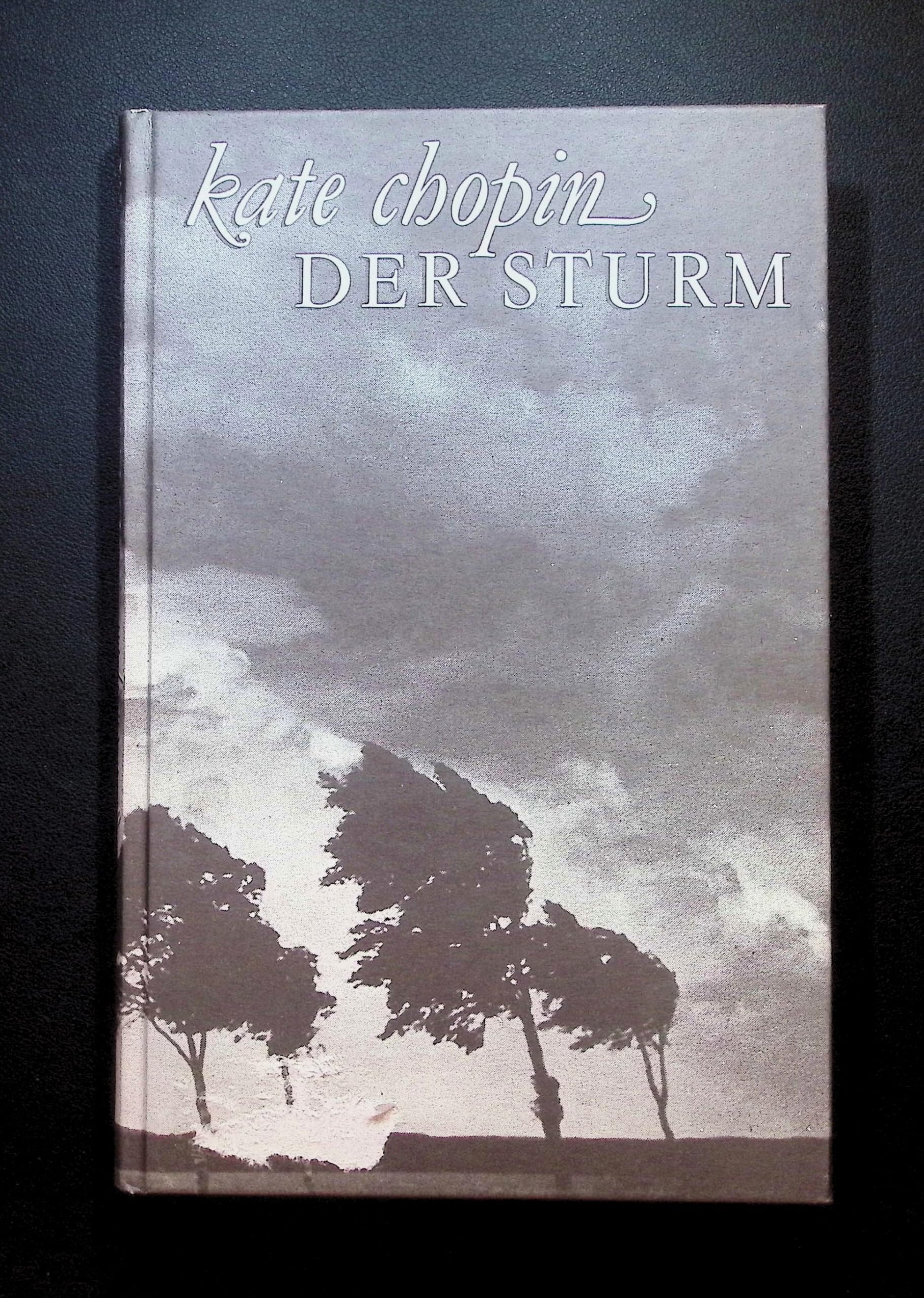 Der Sturm: Ausgewählte Erzählungen und Short Stories: Ausgewählte Erzählungen und Short Stories. Hrsg. v. Miriam Hansen u. K. D. Wolff Social Sciences