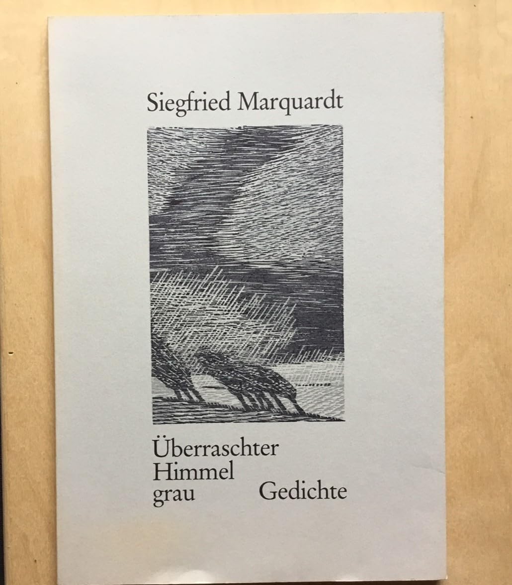 Überraschter Himmel grau: Gedichte Books