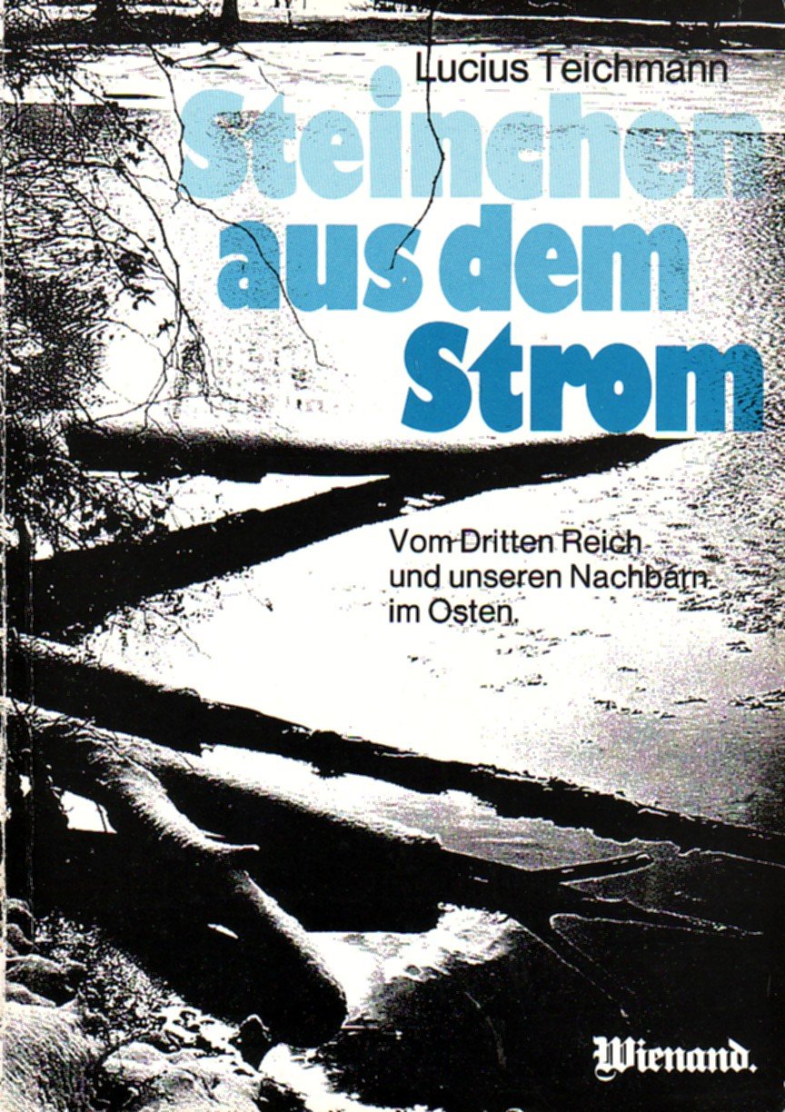 Steinchen aus dem Strom: Vom Dritten Reich u. unseren Nachbarn im Osten German history