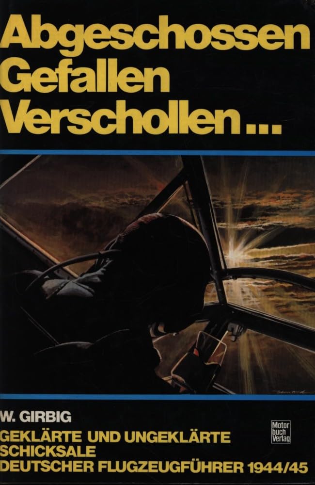 Abgeschossen, Gefallen, Verschollen. Geklärte und ungeklärte Schicksale deutscher Flugzeugführer Politics & History