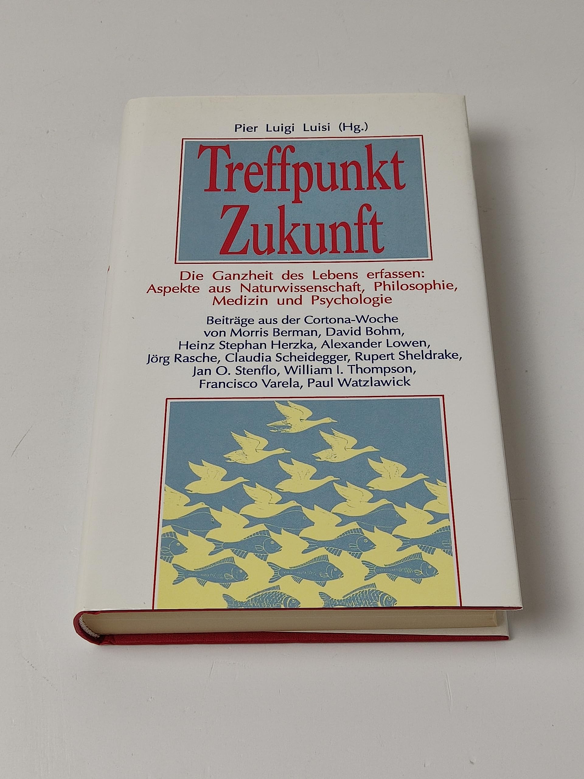 Treffpunkt Zukunft: Die Ganzheit des Lebens erfassen: Aspekte aus Naturwissenschaft, Philosophie, Medizin und Psychologie. Beiträge aus der Cortona-Woche Business & Technology