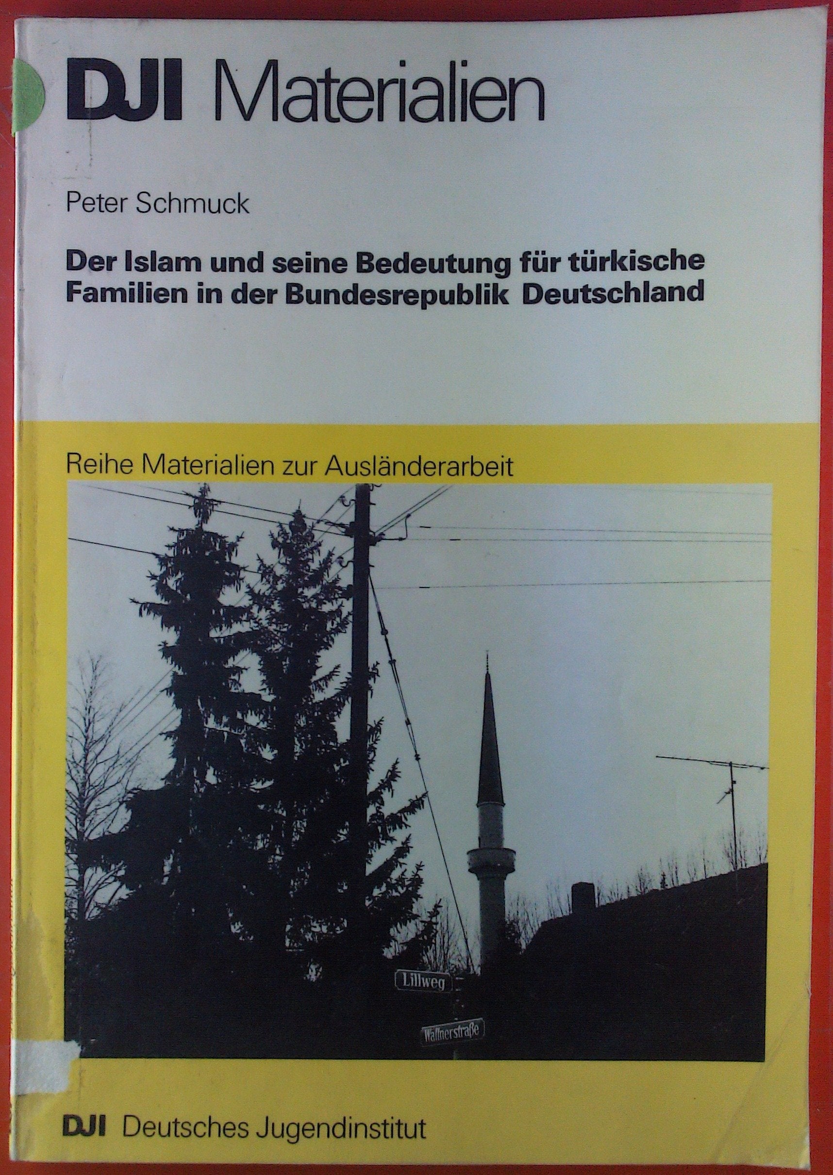 Der Islam und seine Bedeutung für türkische Familien in der Bundesrepublik Deutschland Books