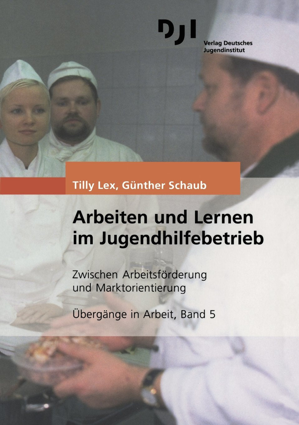 Arbeiten und Lernen im Jugendhilfebetrieb: Zwischen Arbeitsförderung und Marktorientierung (Übergänge in Arbeit, Band 5) Law