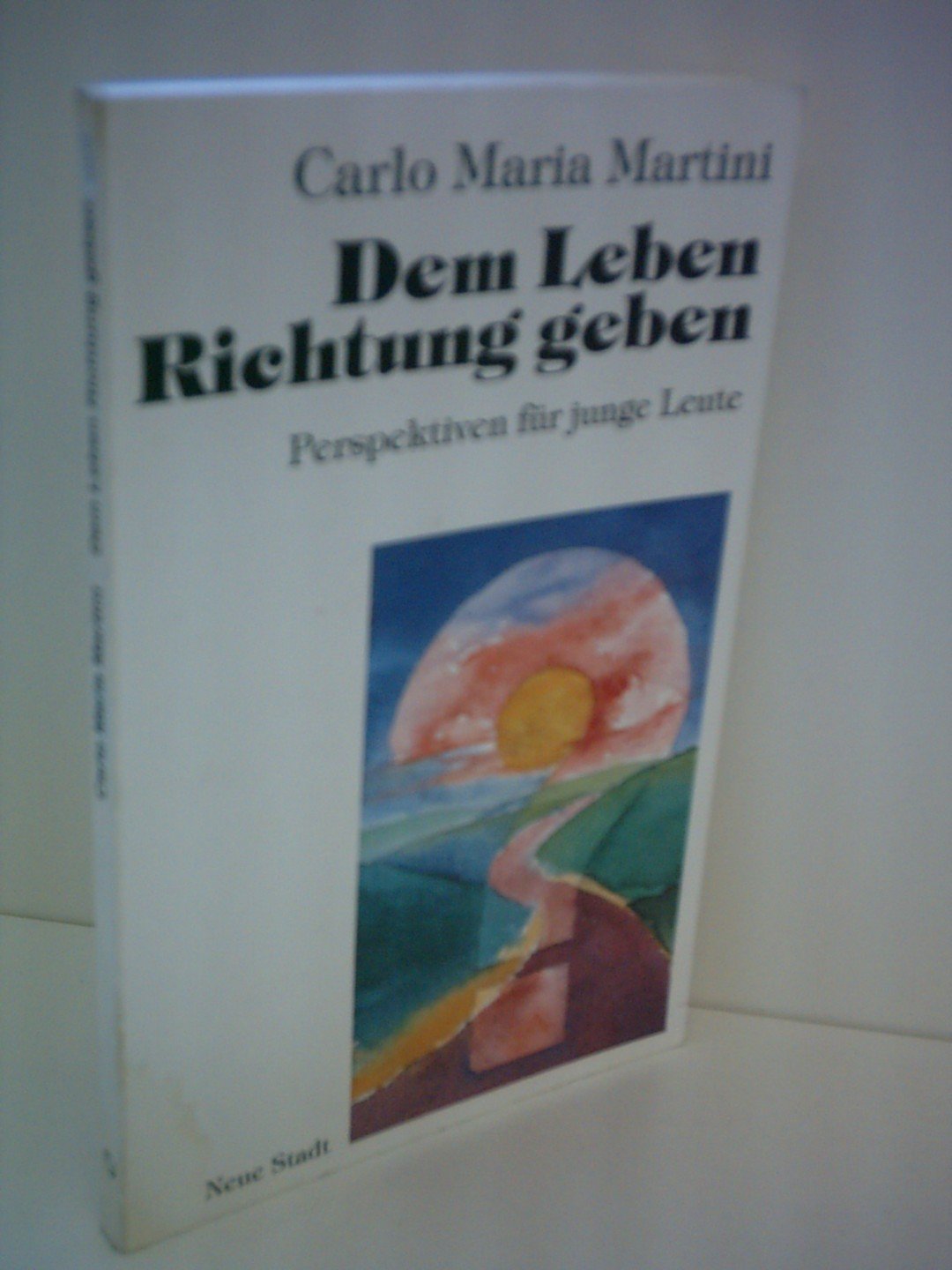 Dem Leben Richtung geben: Perspektiven für junge Leute (Spiritualität) Non-fiction