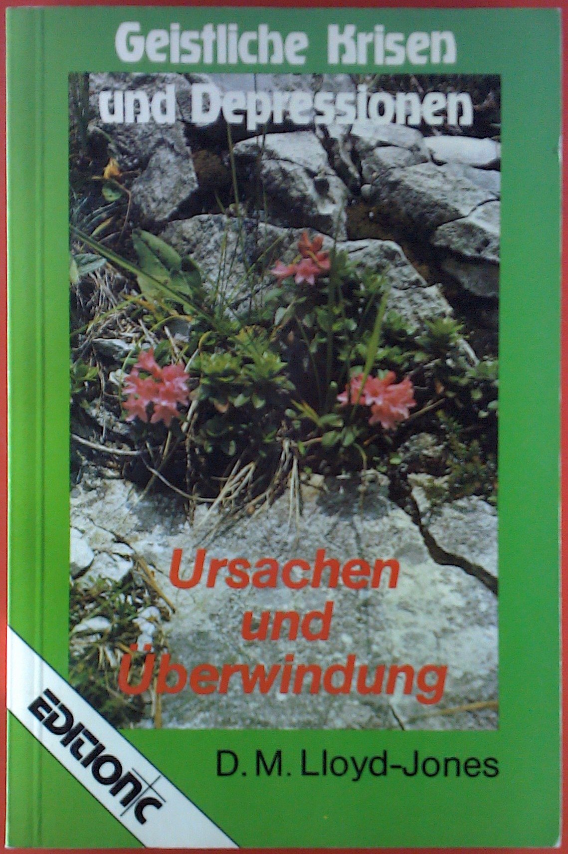 Geistliche Krisen und Depressionen. Ursachen und Überwindung Medicine