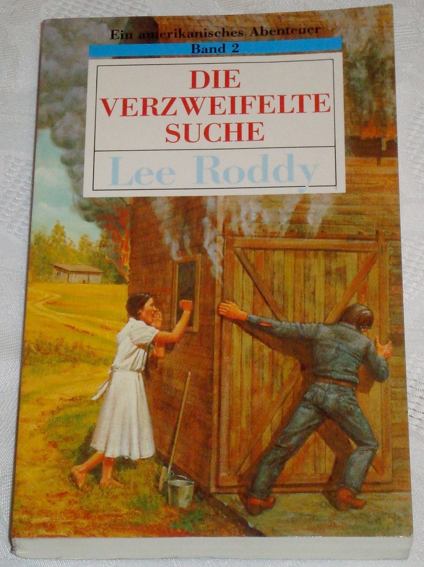 Ein amerikanisches Abenteuer, Bd. 2: Die verzweifelte Suche book
