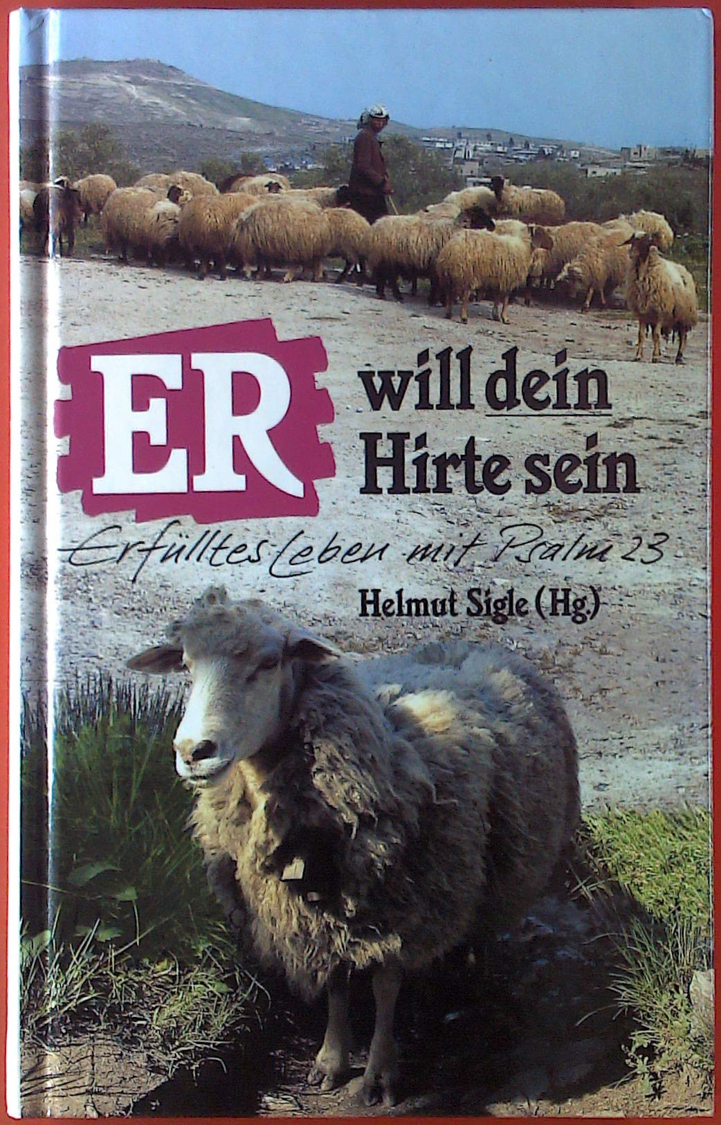 Er will dein Hirte sein: Erfülltes Leben mit Psalm 23 Books