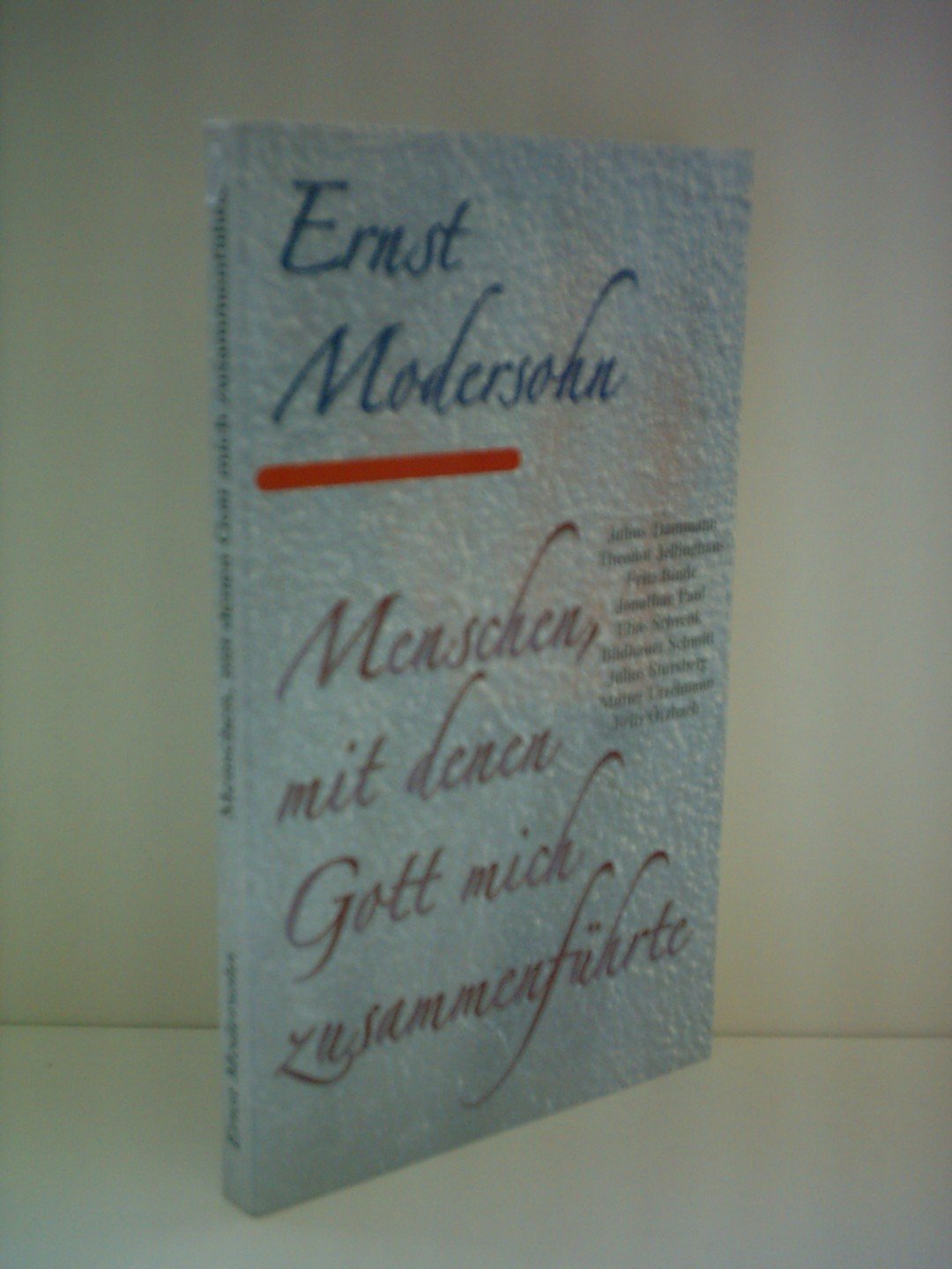 Menschen, mit denen Gott mich zusammenführte Religion & Esotericism