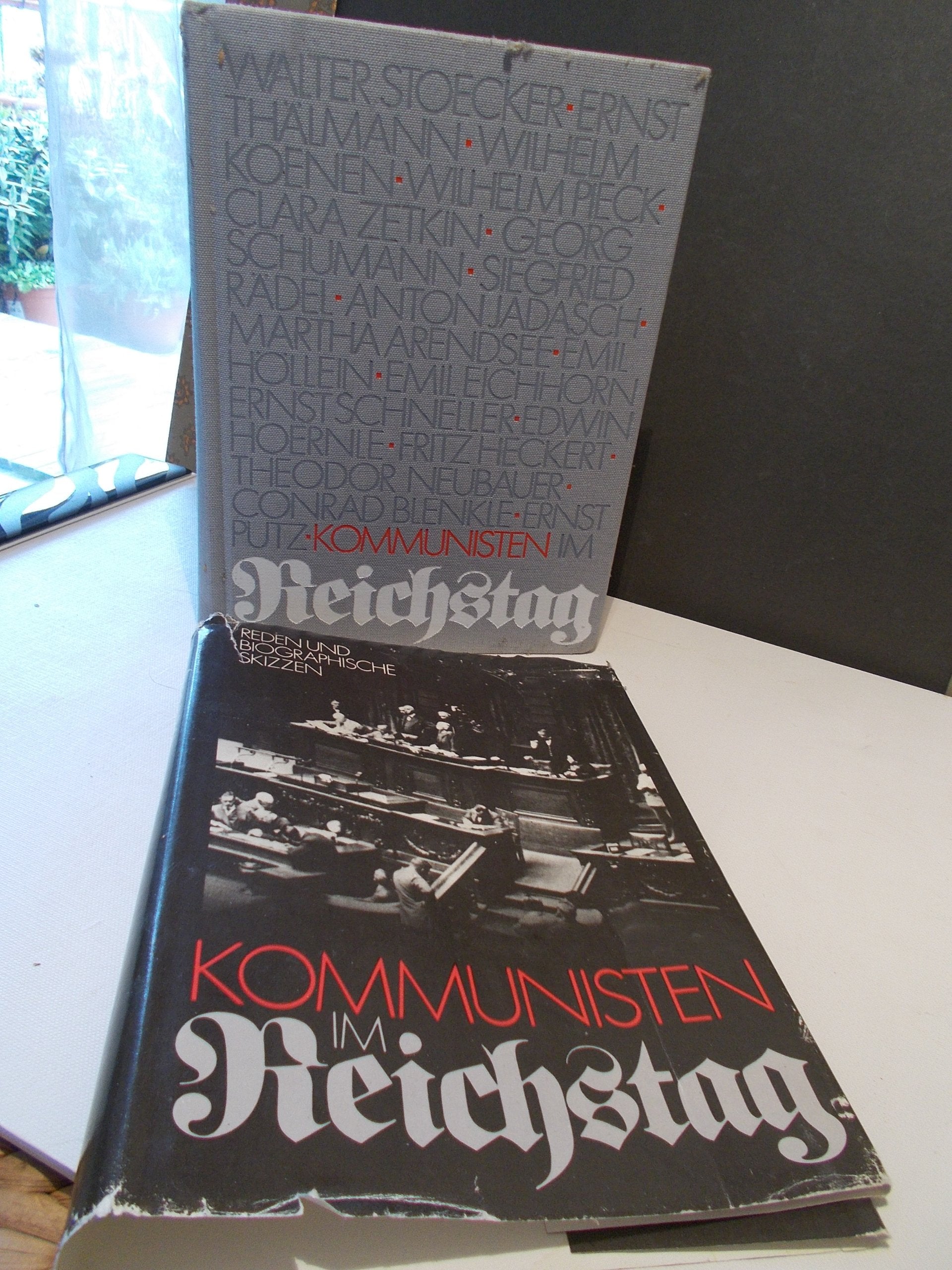 Kommunisten im Reichstag. Reden und biographische Skizzen Books