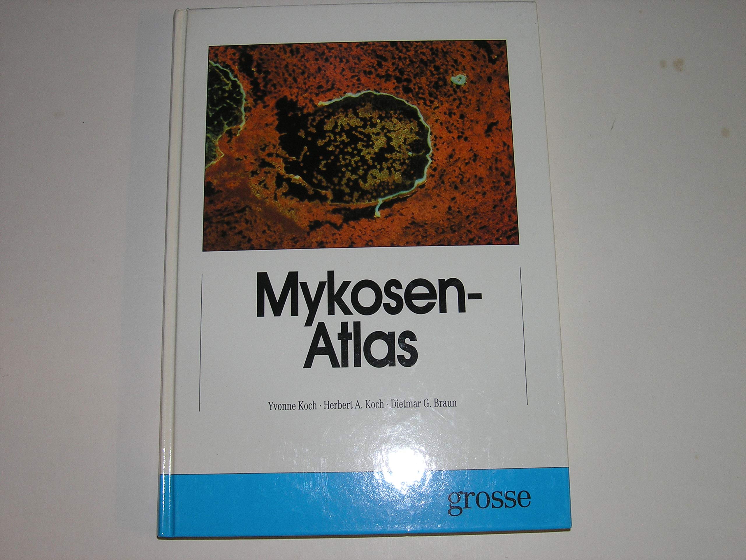 Mykosen-Atlas Medicine