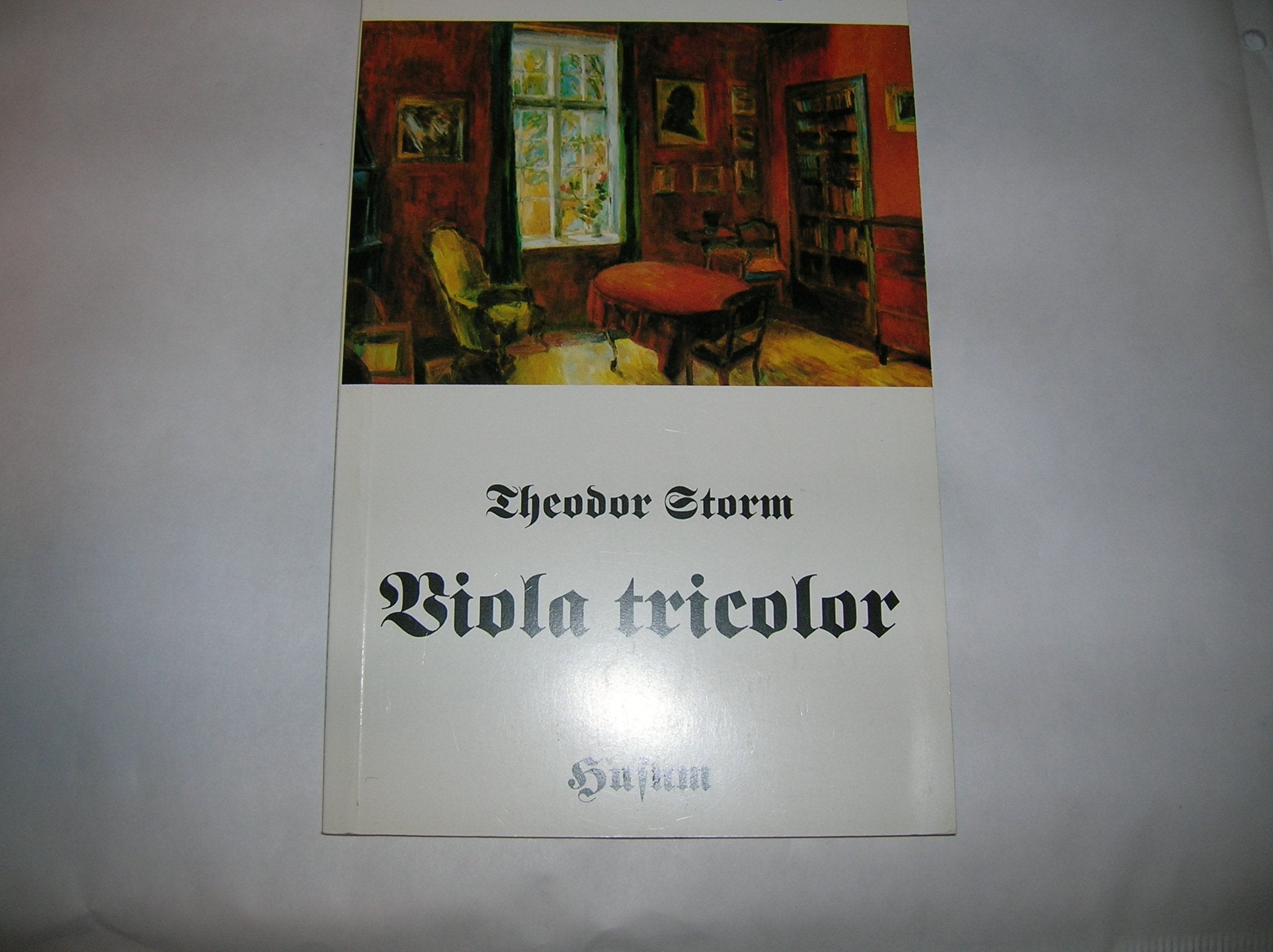 Viola tricolor (Husum-Taschenbuch) Study Guides