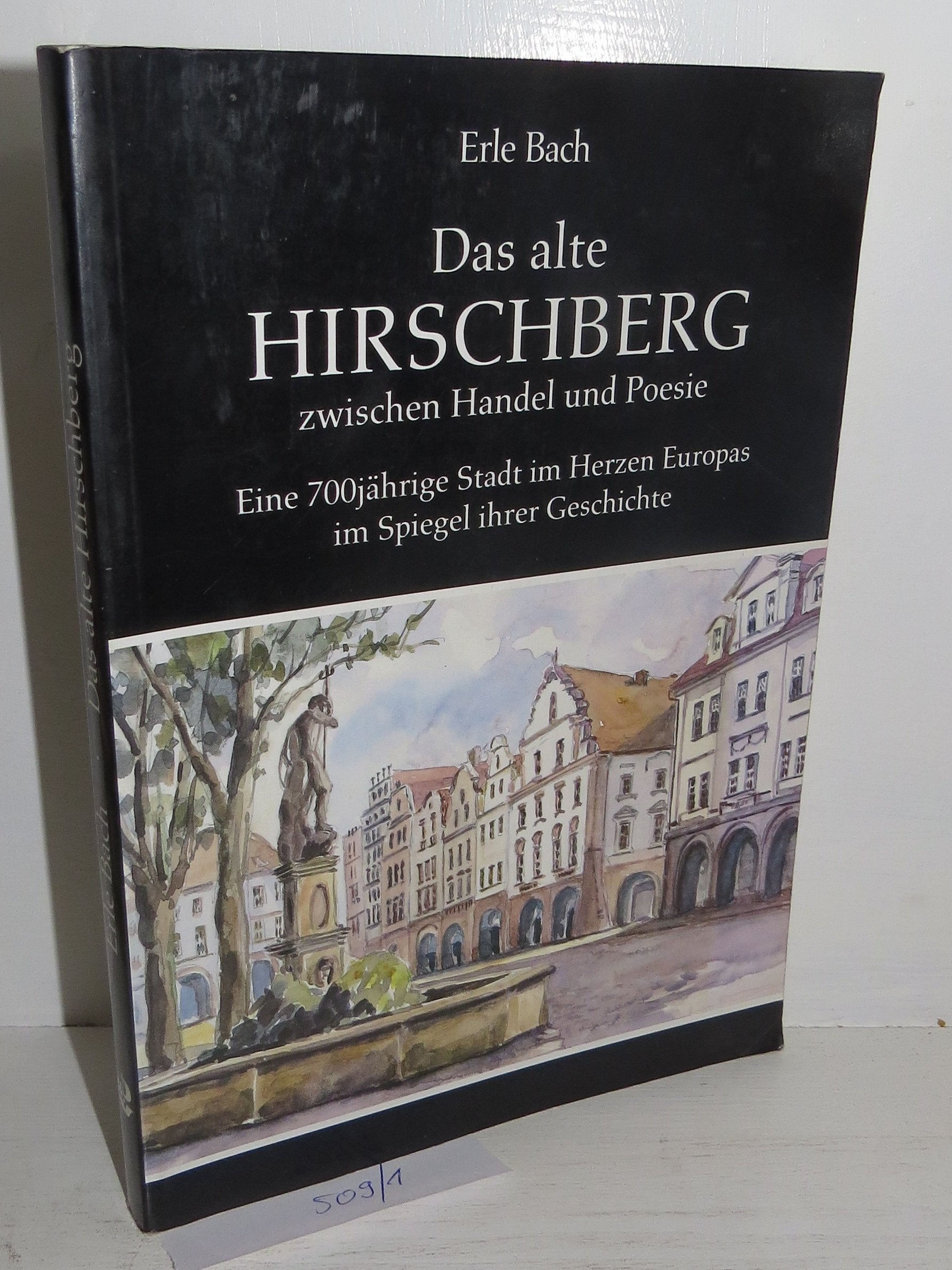 Das alte Hirschberg zwischen Handel und Poesie: Eine 700jährige Stadt im Herzen Europas im Spiegel ihrer Geschichte Politics & History
