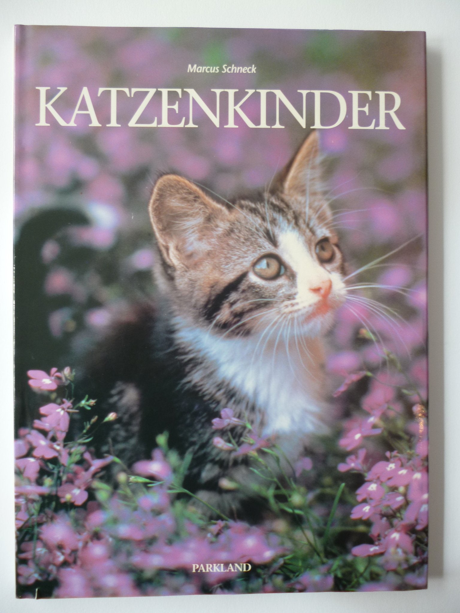 Katzenkinder Books