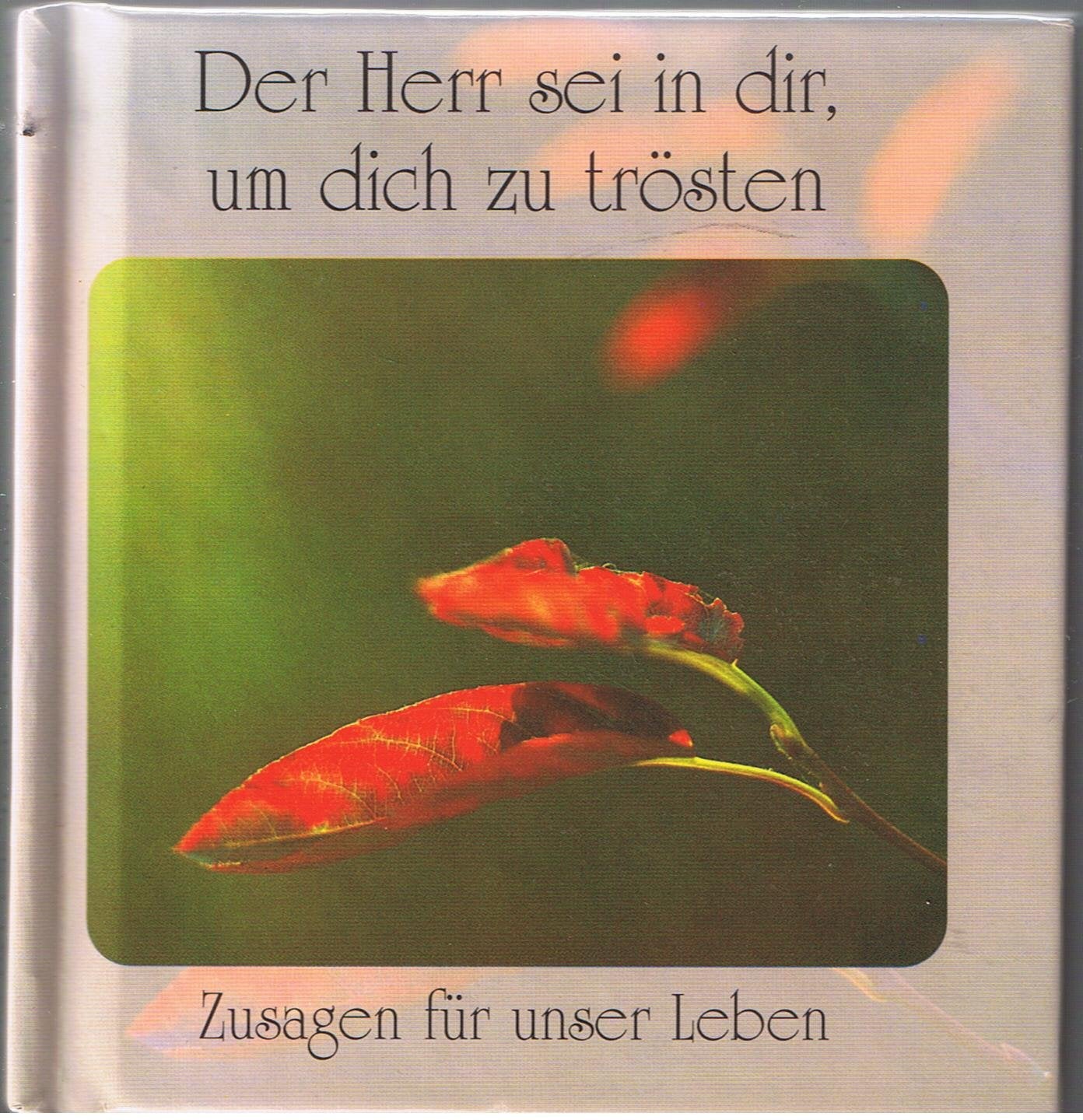 Product Image: Der Herr sei in Dir, um dich zu trösten