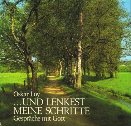 ...und lenkest meine Schritte: Gespräche mit Gott Religion & Esotericism