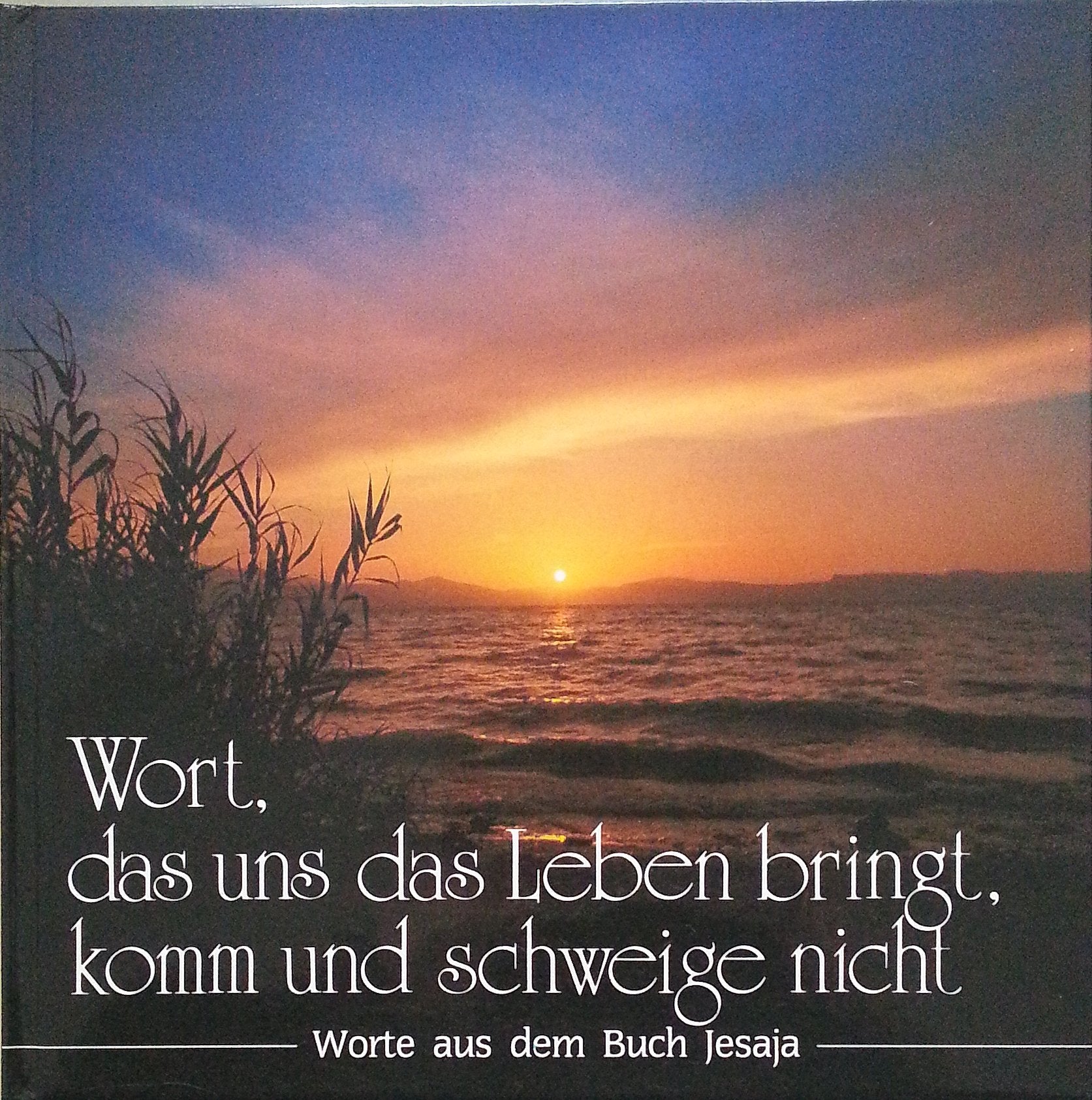 Wort, das uns das Leben bringt, komm und schweige nicht: Texte aus dem Jesaja-Buch Books