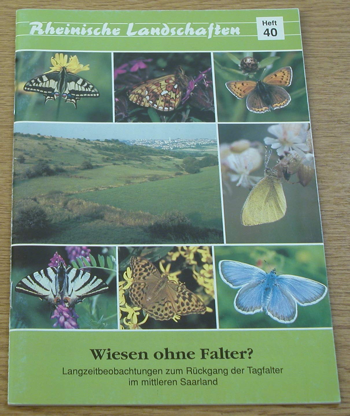 Wiesen ohne Falter?: Langzeitbeobachtungen zum Rückgang der Tagfalter im mittleren Saarland (Rheinische Landschaften) Natural Sciences