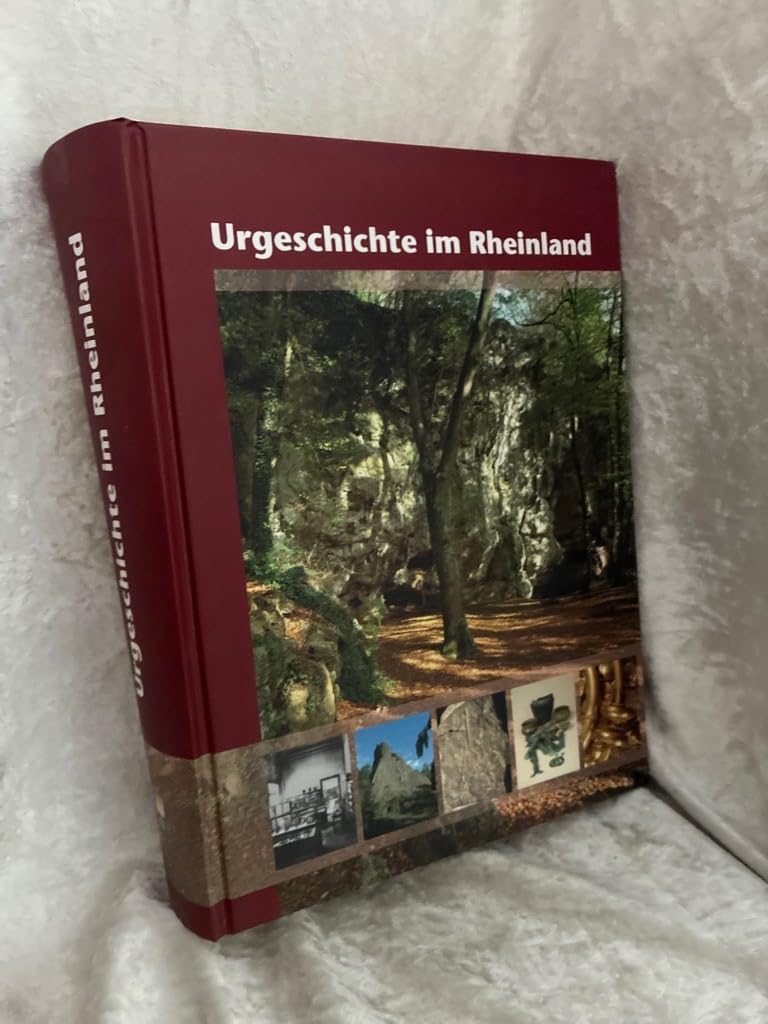 Urgeschichte im Rheinland: Jahrbuch 2005 des Rheinischen Vereins für Denkmalpflege und Landschaftsschutz Politics & History