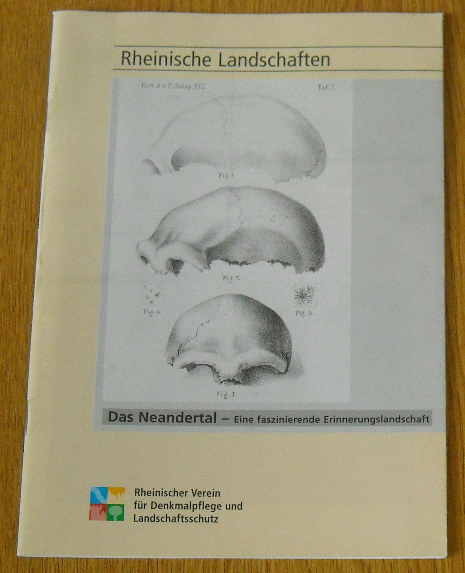 Das Neandertal: Eine faszinierende Erinnerungslandschaft Natural Sciences