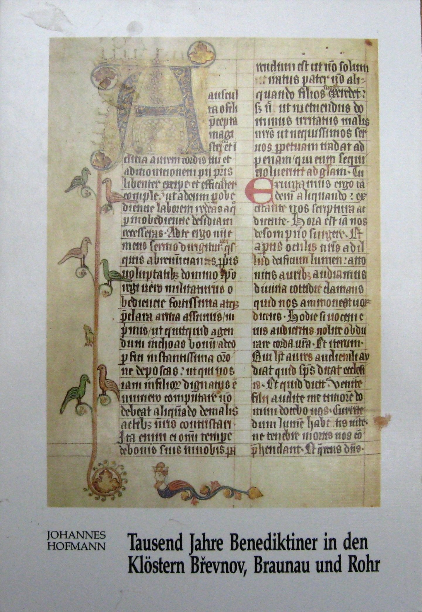 Tausend Jahre Benediktiner in den Klöstern Brevnov, Braunau und Rohr Books