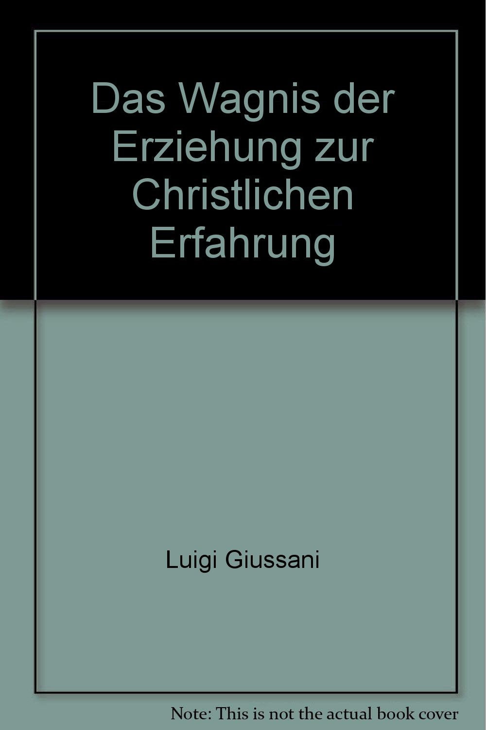 Das Wagnis der Erziehung zur Christlichen Erfahrung: Zur christlichen Erfahrung. Vorw. v. Nikolaus Lobkowicz Religion & Esotericism