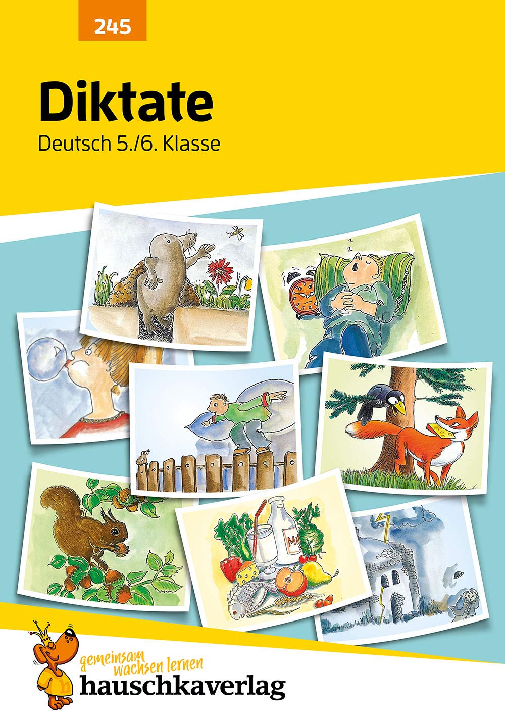 Diktate Deutsch 5./6. Klasse Study Guides