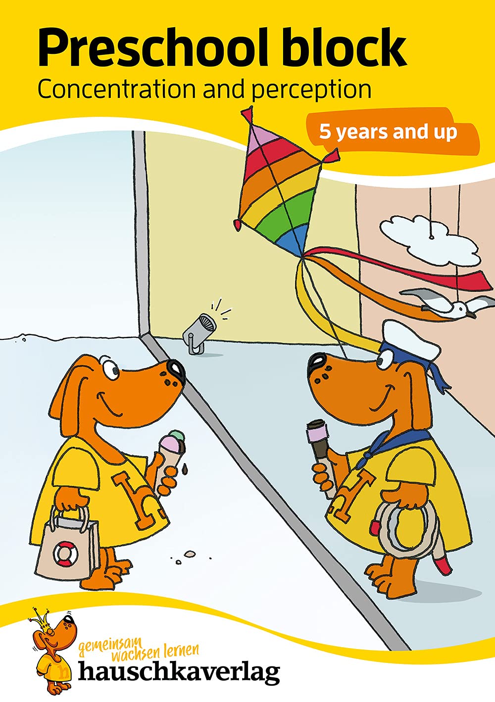 Preschool Activity Book for 5 Years - Boys and Girls - Concentration and perception Leisure & Fun