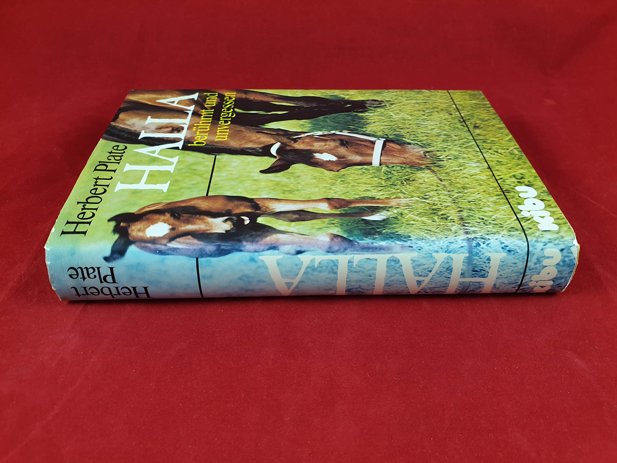 Halla, berühmt und unvergessen Travel Books