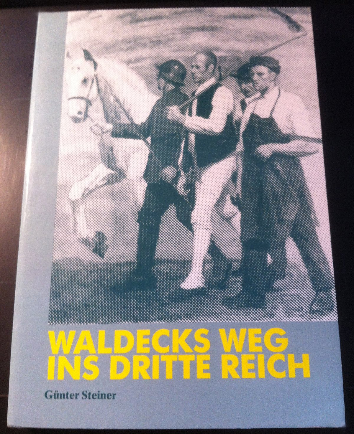 Waldecks Weg ins Dritte Reich: Gesellschaftliche und politische Strukturen eines ländlichen Raumes während der Weimarer Republik und zu Beginn des Dritten Reiches (Nationalsozialismus in Nordhessen) German history