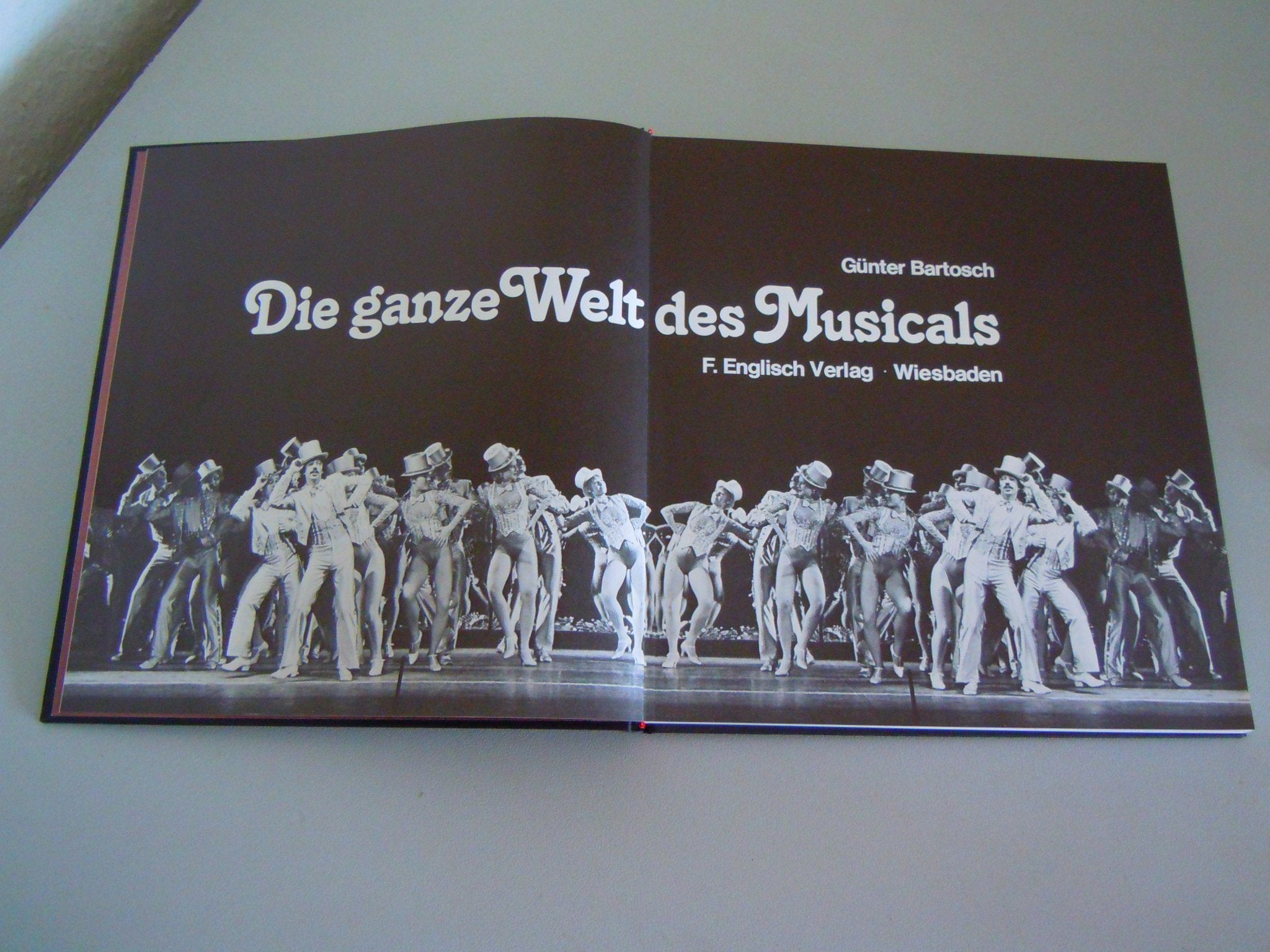 Die ganze Welt des Musicals Film, Art & Culture