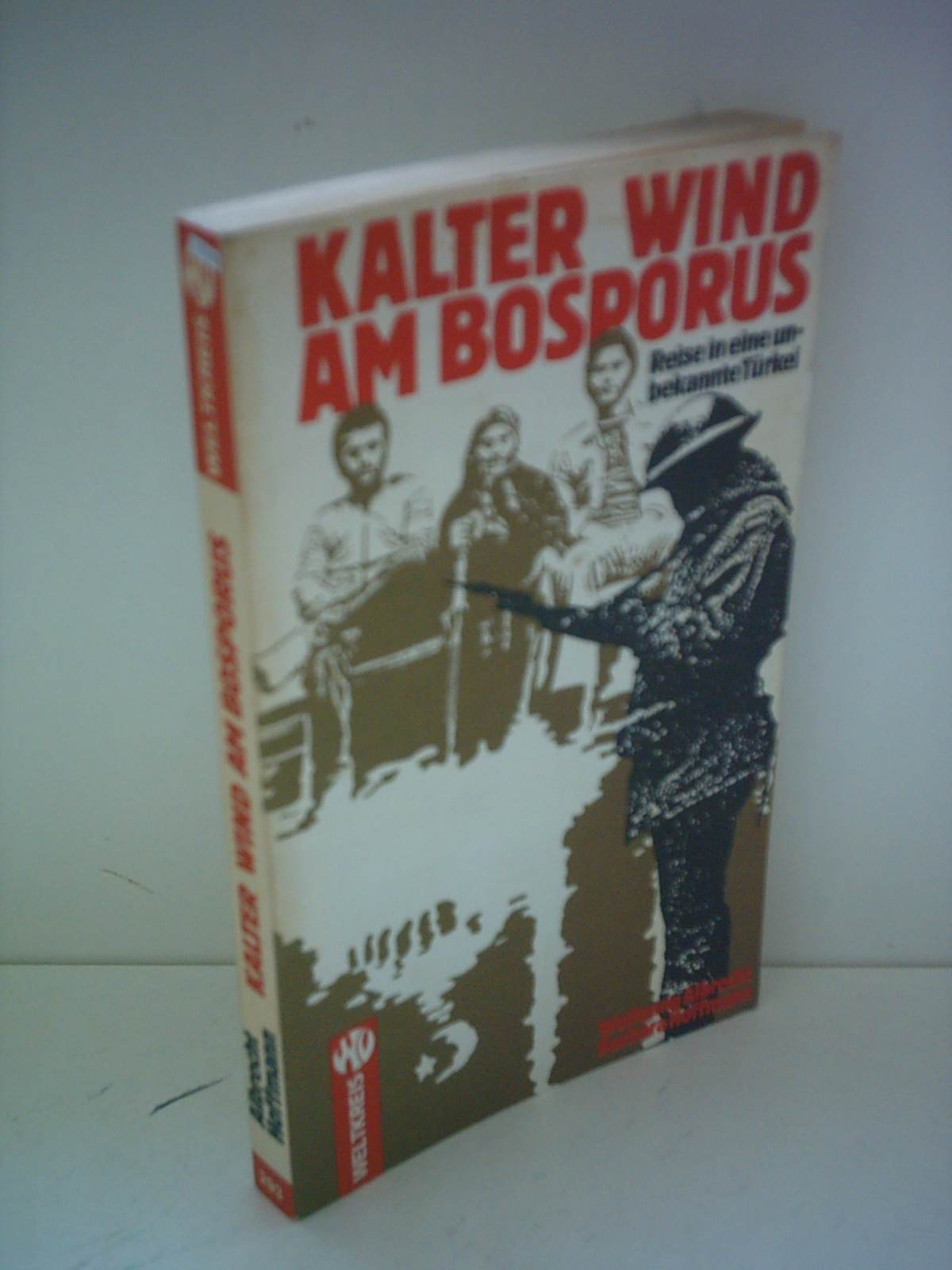 Kalter Wind am Bosporus. Reise in eine unbekannte Türkei Social Sciences