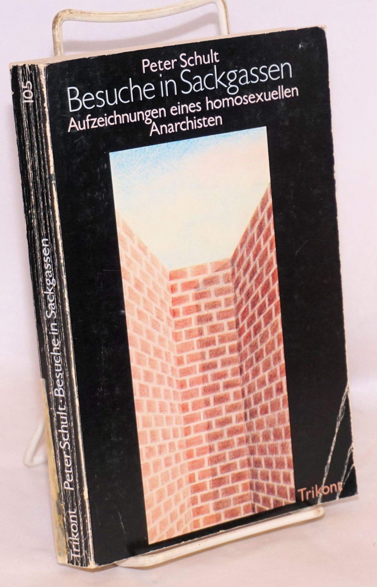 Besuche in Sackgassen: Aufzeichn. e. homosexuellen Anarchisten (German Edition) book