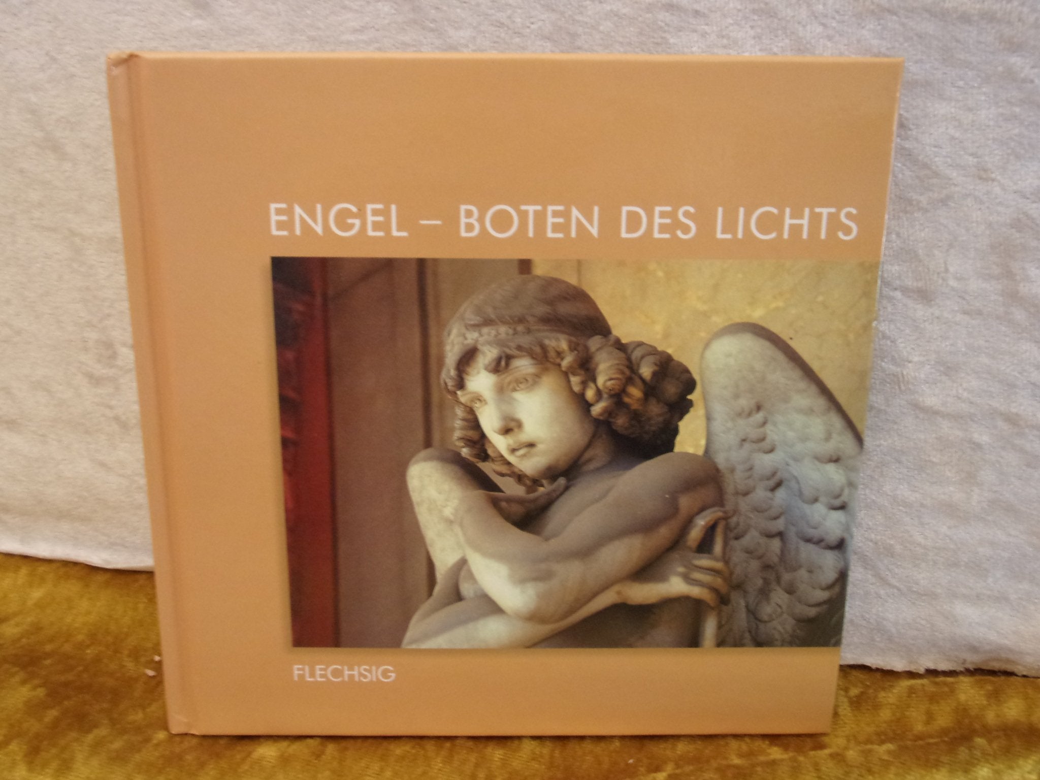 Engel - Boten des Lichts Religion & Esotericism