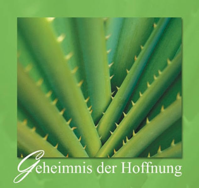 Geheimnis der Hoffnung (Flechsig - Geschenkbücher) Lifestyle