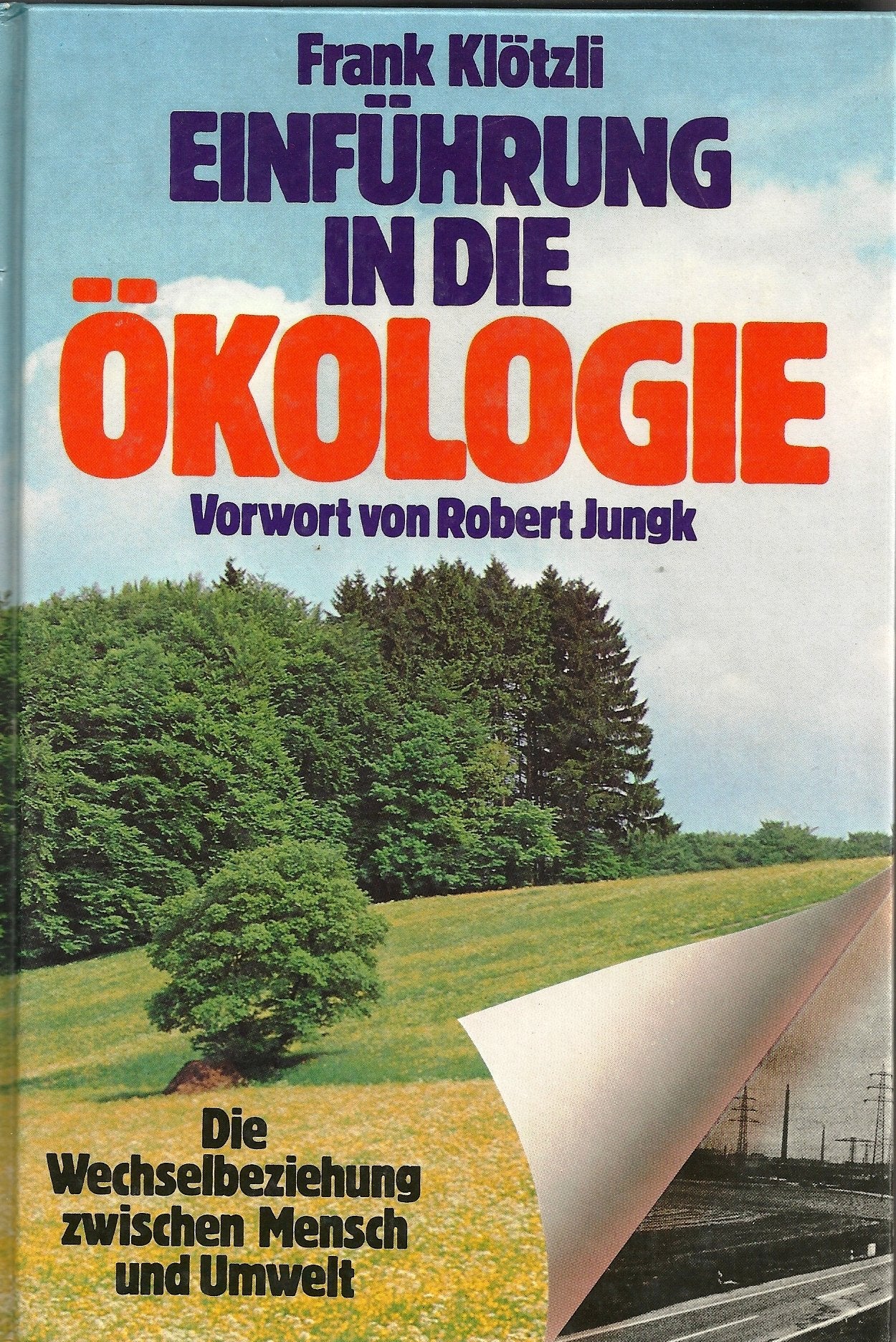 Einführung in die Ökologie. Die Wechselbeziehung zwischen Mensch und Umwelt. Natural Sciences