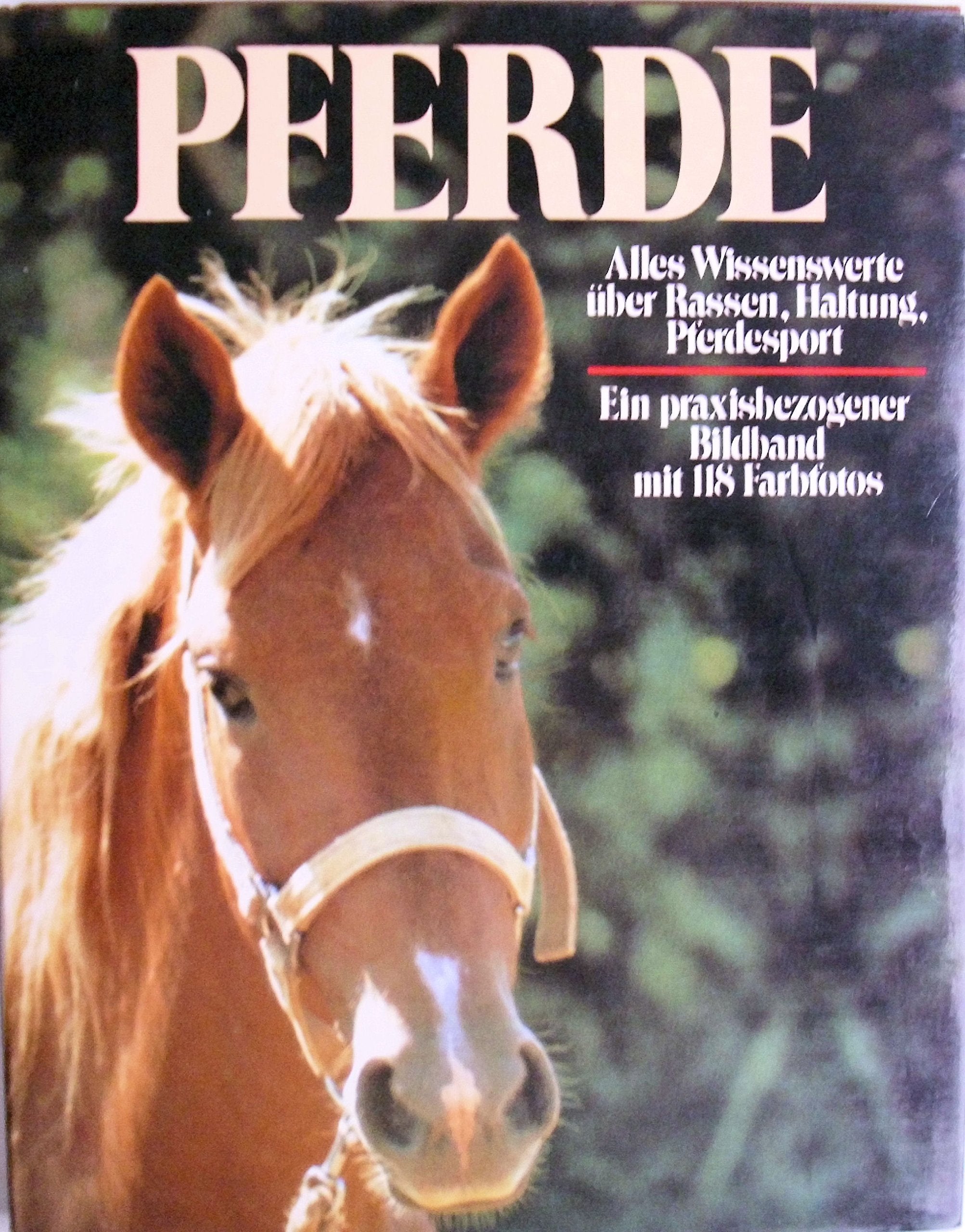 Pferde: Alles wissenswerte über Rassen, Haltung, Pferdesport Books