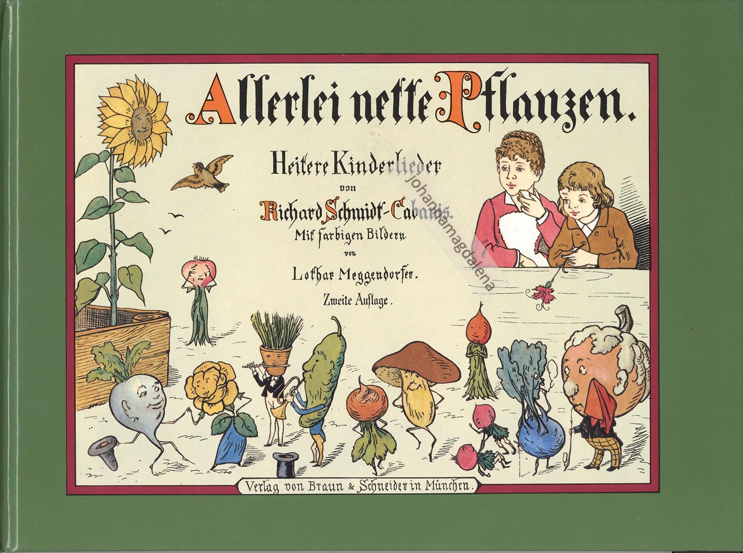 Allerlei nette Pflanzen - Heitere Kinderlieder Books