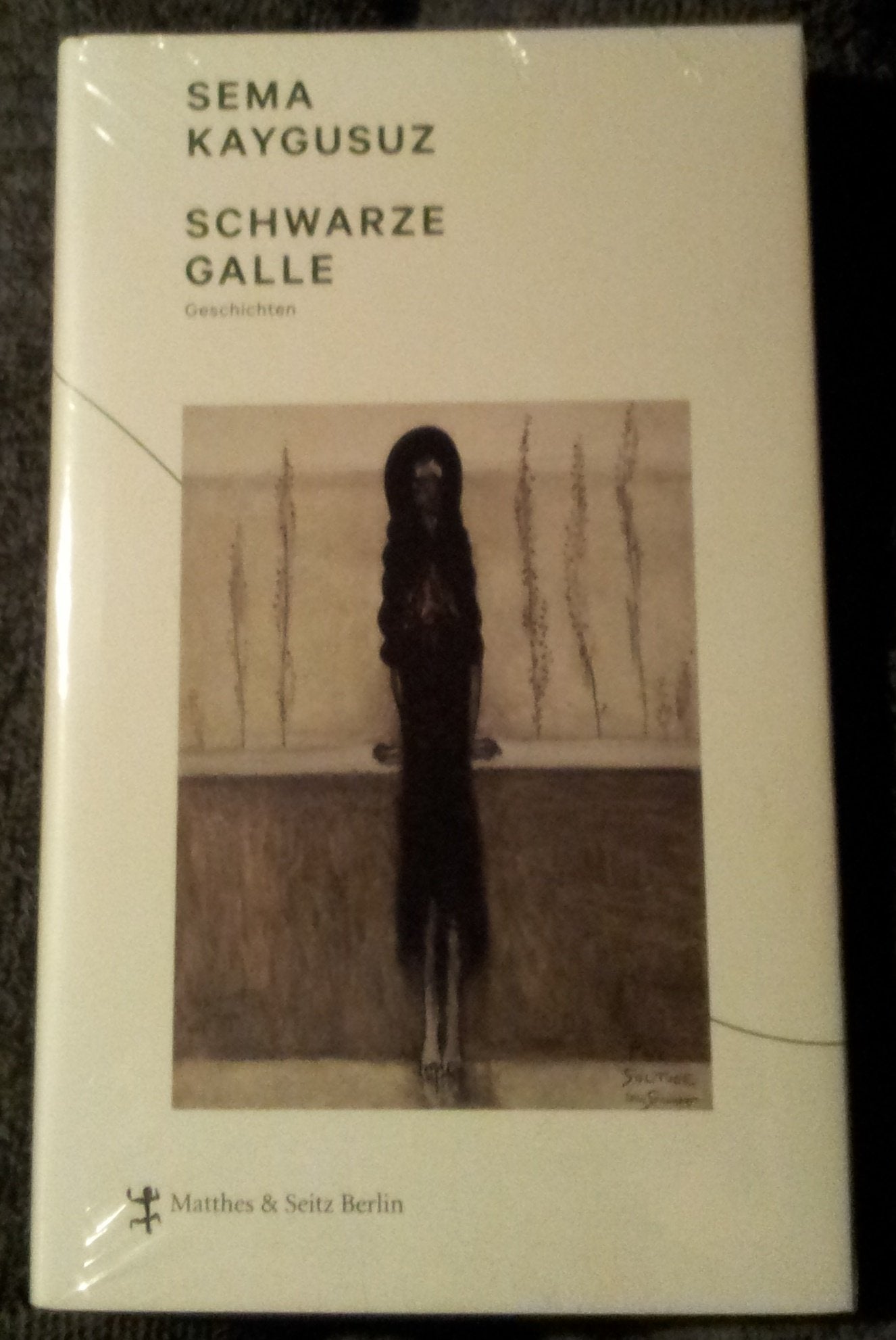 Schwarze Galle Contemporary literature