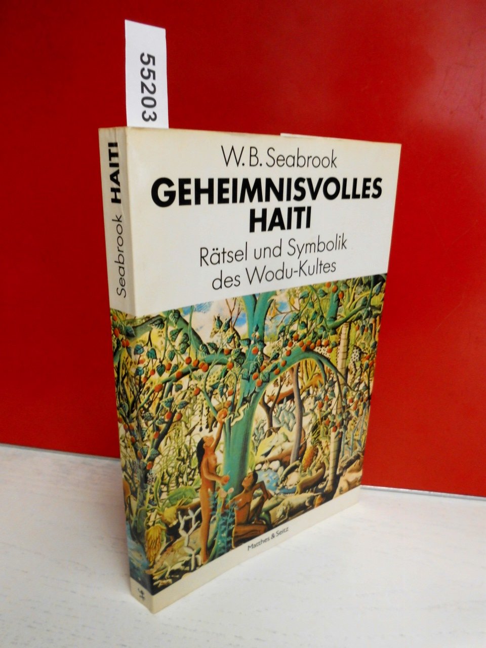 Geheimnisvolles Haiti: Rätsel und Symbolik des Wodu-Kultes Books