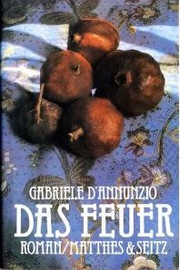 Das Feuer: Roman Politics & History