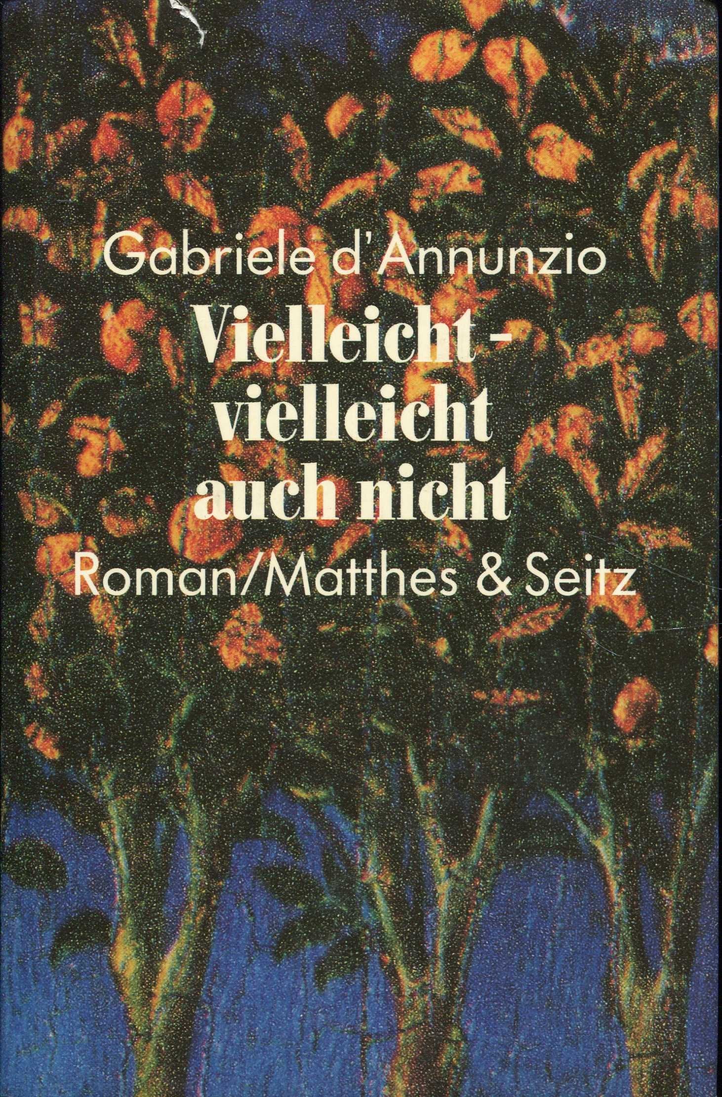 Vielleicht - vielleicht auch nicht: Roman Books