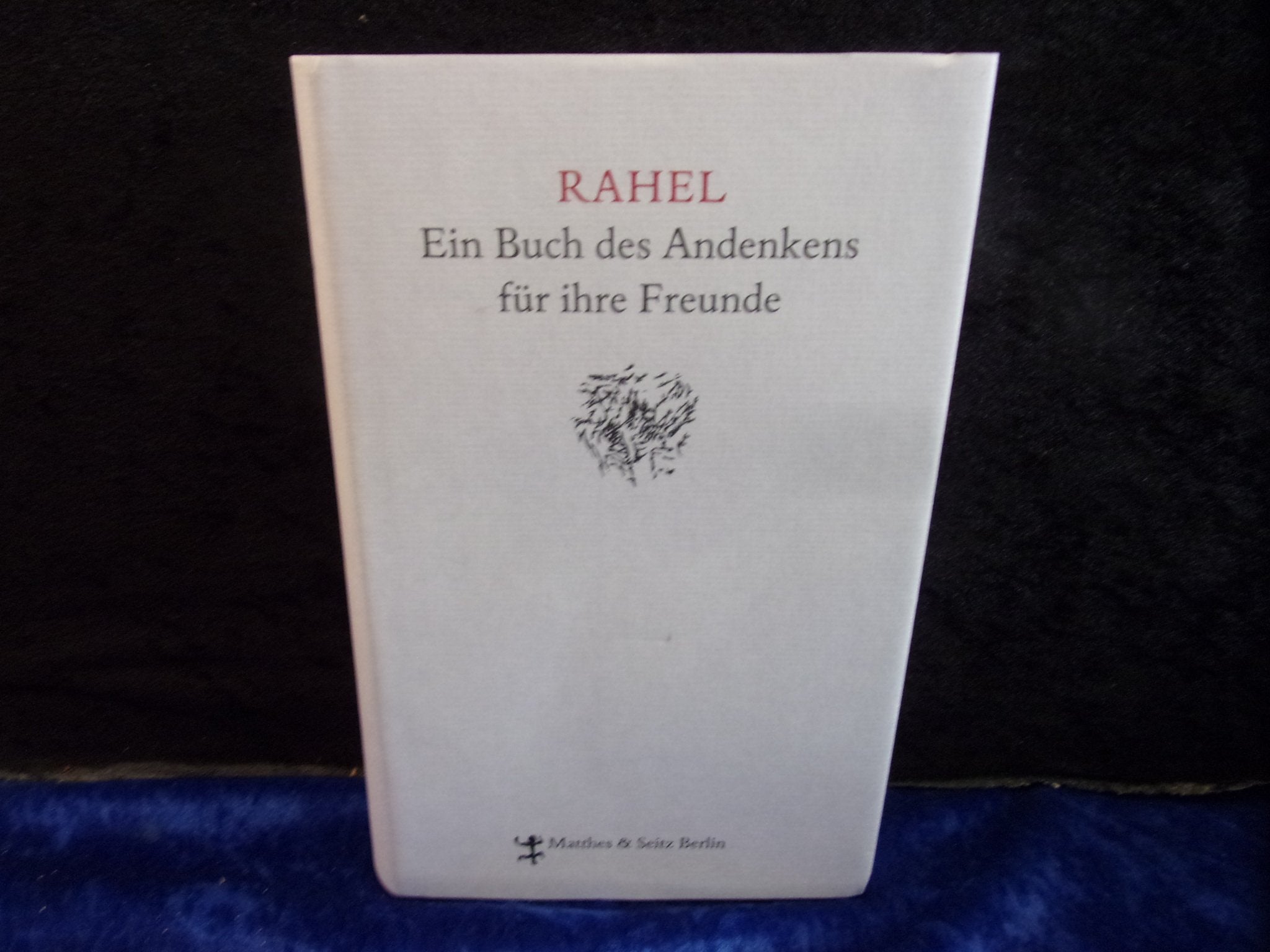 Rahel. Ein Buch des Andenkens für ihre Freunde: Anh. v. Uwe Schweikert Essays & Short Stories