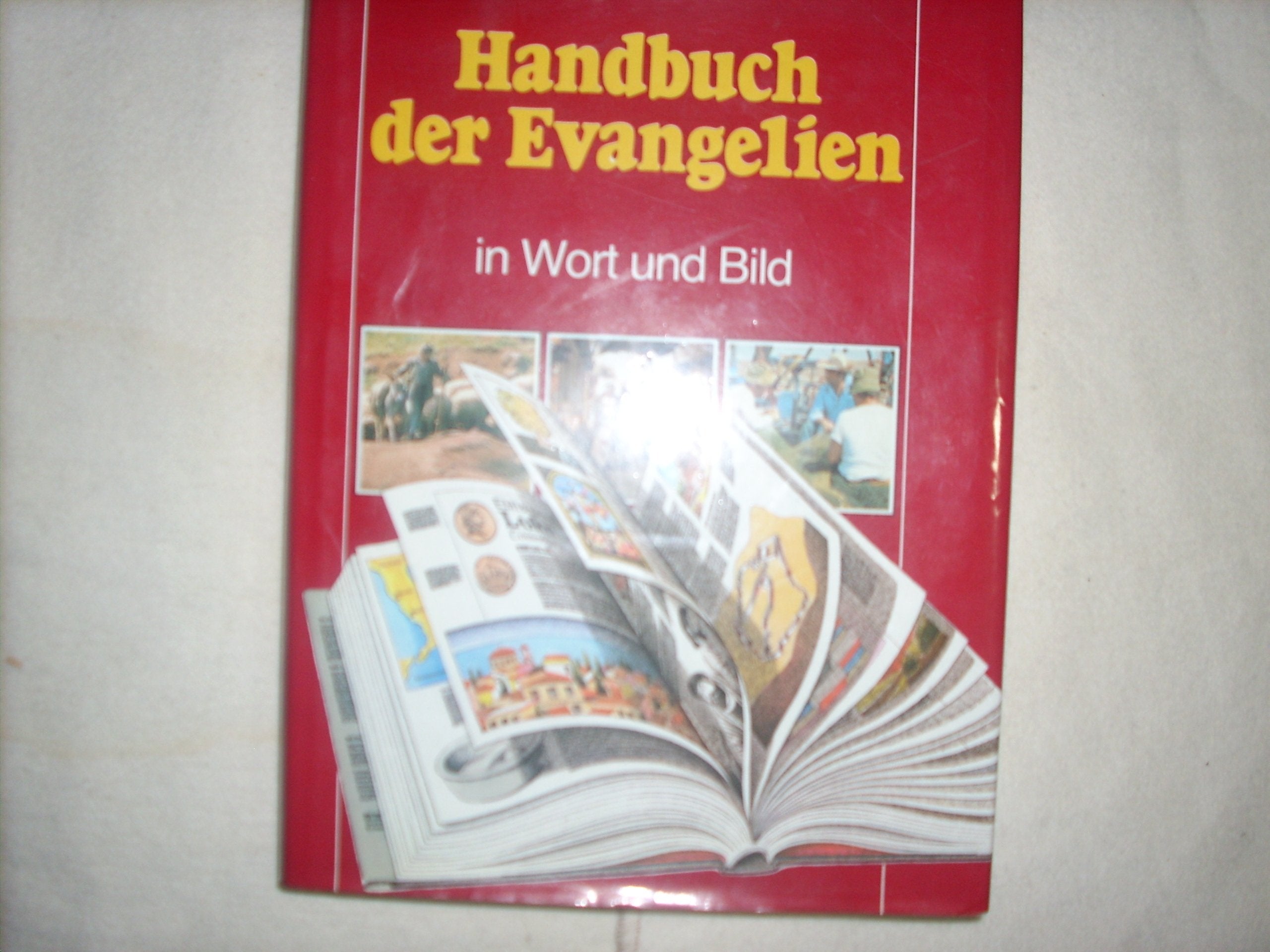 Handbuch der Evangelien: In Wort und Bild (Edition C - Allgemeine Themen) Religion & Esotericism